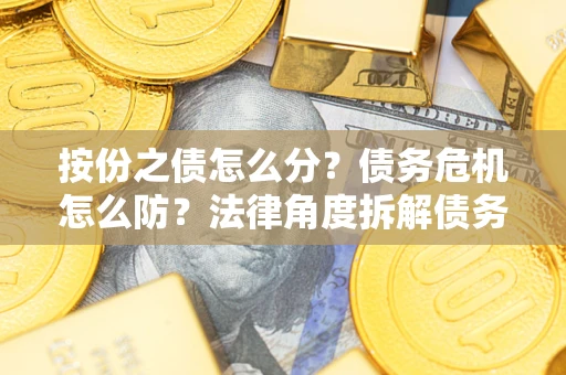 武汉按份之债怎么分？债务危机怎么防？法律角度拆解债务分配与风险自保指南