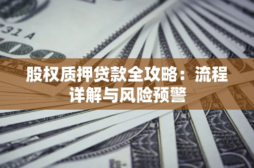 武汉股权质押贷款全攻略：流程详解与风险预警
