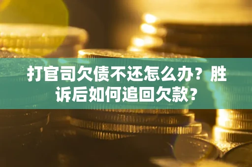 武汉打官司欠债不还怎么办？胜诉后如何追回欠款？