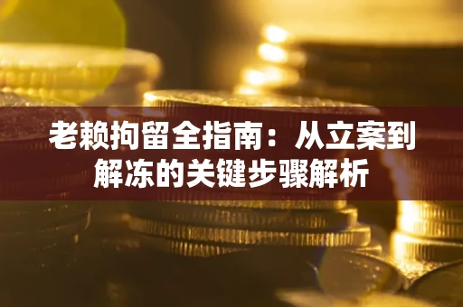 武汉老赖拘留全指南：从立案到解冻的关键步骤解析
