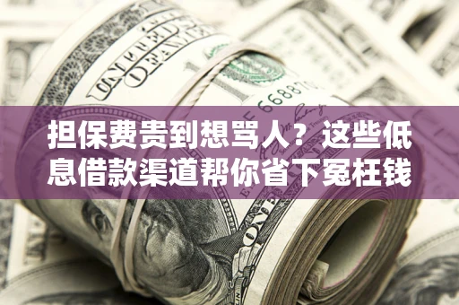 武汉担保费贵到想骂人？这些低息借款渠道帮你省下冤枉钱