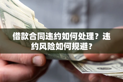 武汉借款合同违约如何处理？违约风险如何规避？