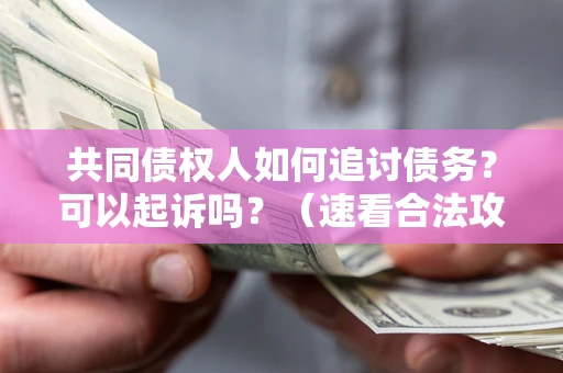 武汉共同债权人如何追讨债务？可以起诉吗？（速看合法攻略）