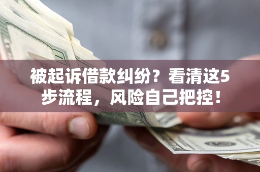 武汉被起诉借款纠纷？看清这5步流程，风险自己把控！