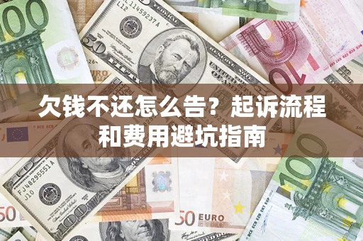 武汉欠钱不还怎么告？起诉流程和费用避坑指南