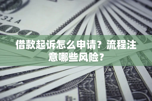 武汉借款起诉怎么申请？流程注意哪些风险？