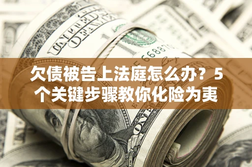 武汉欠债被告上法庭怎么办？5个关键步骤教你化险为夷
